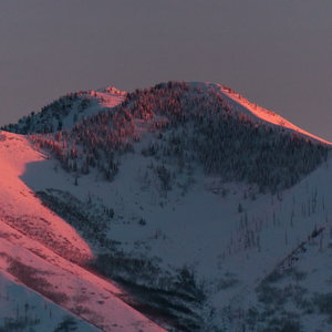 The snowy slopes of a mountain lit pink in sunset