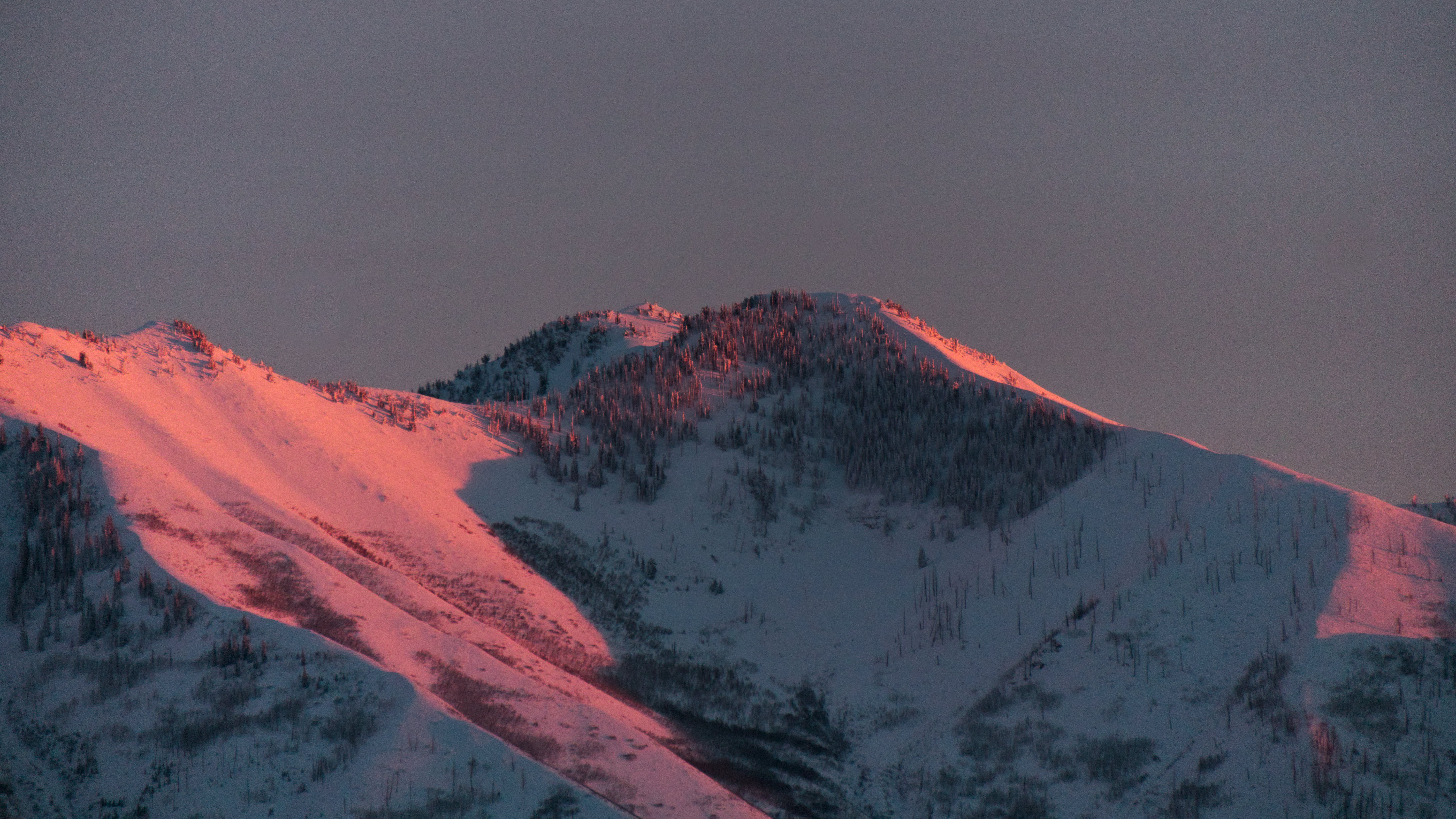 The snowy slopes of a mountain lit pink in sunset