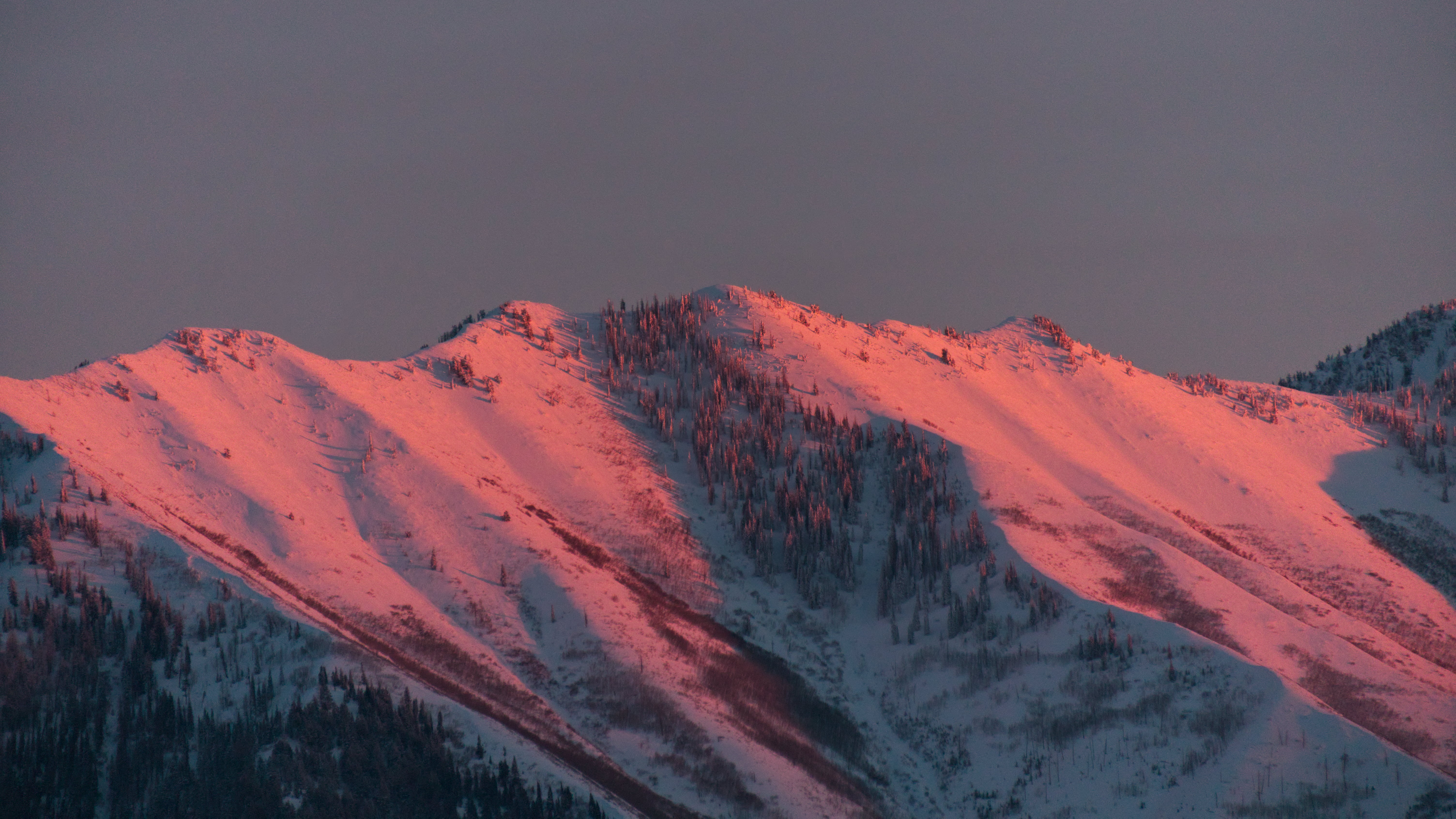 The snowy slopes of a mountain lit pink in sunset
