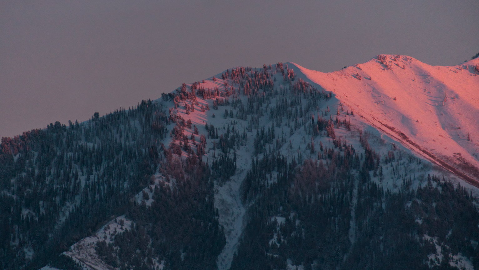 Fir-filled mountain slopes at dusk, some pinky sunset light hitting the west facing slopes on the right