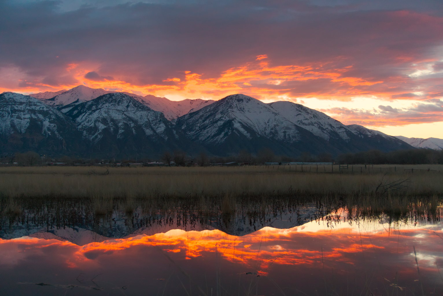 Snowy mountains with orange glowing clouds above, their reflection in some water below, inbetween dry winter grasses