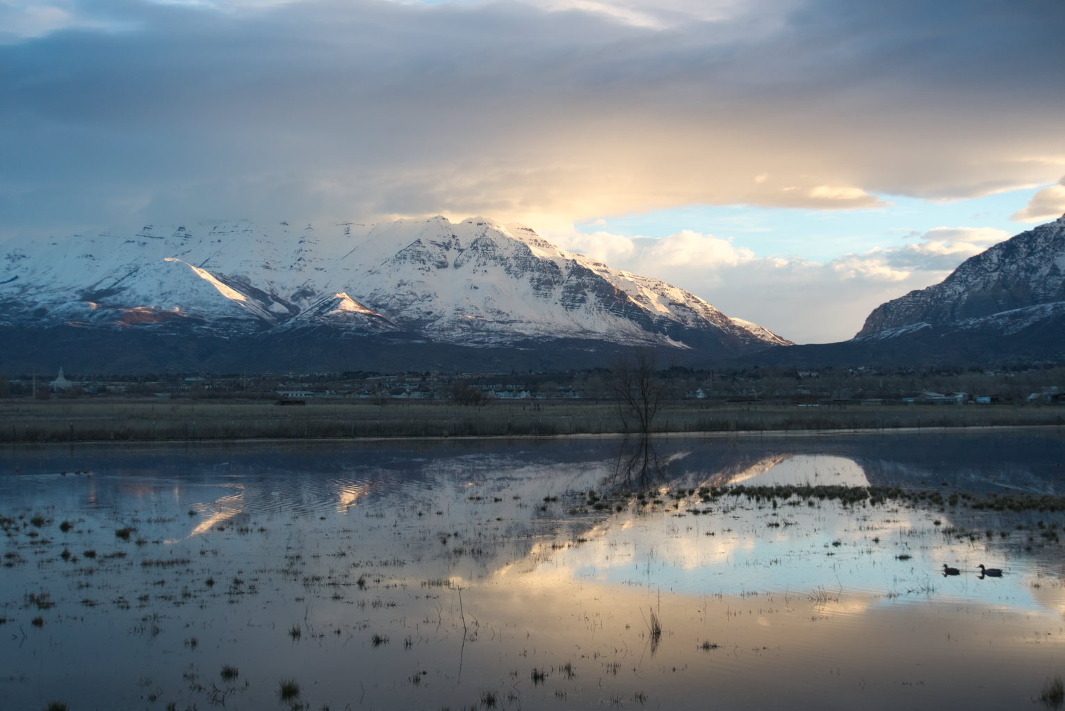 Snowy mountains in early slanted daylight, below them their reflection in the wetlands, town visible between