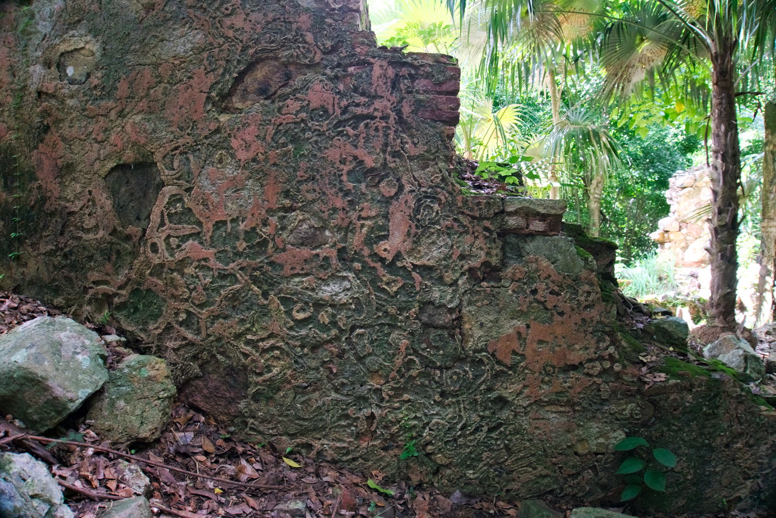 Una pared media destruida con liquenes y musgos y una textura interesante