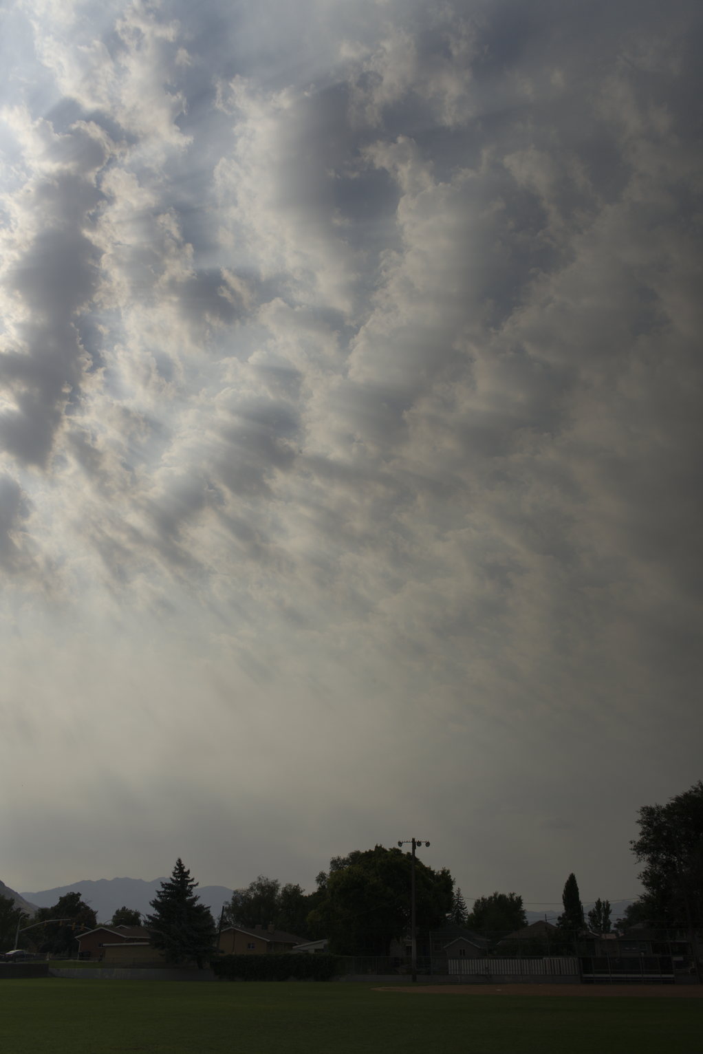 Above a grassy park and some distance trees and homes the cloudy and smoke-hazed sky has a kind of lacy