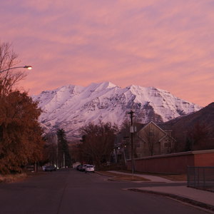 A snowy mountain looms over a street, trees, and houses in peachy clouds