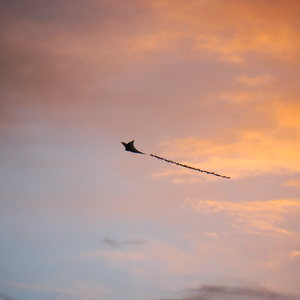 A kite silhouetted against sunset lit clouds