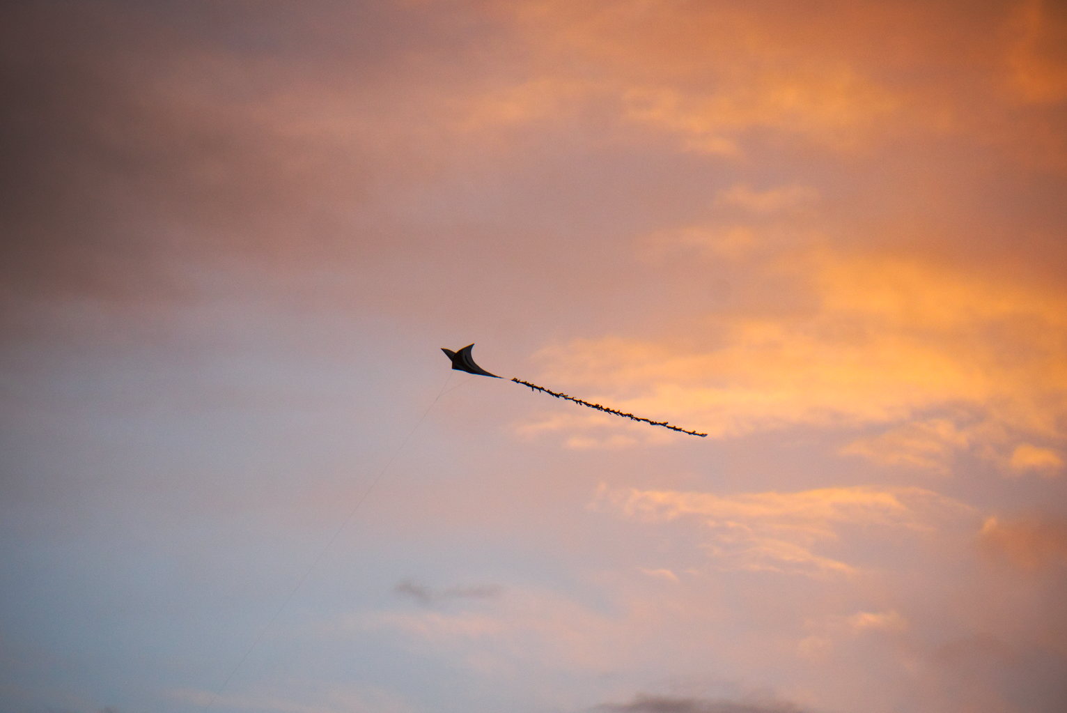 A kite silhouetted against sunset lit clouds