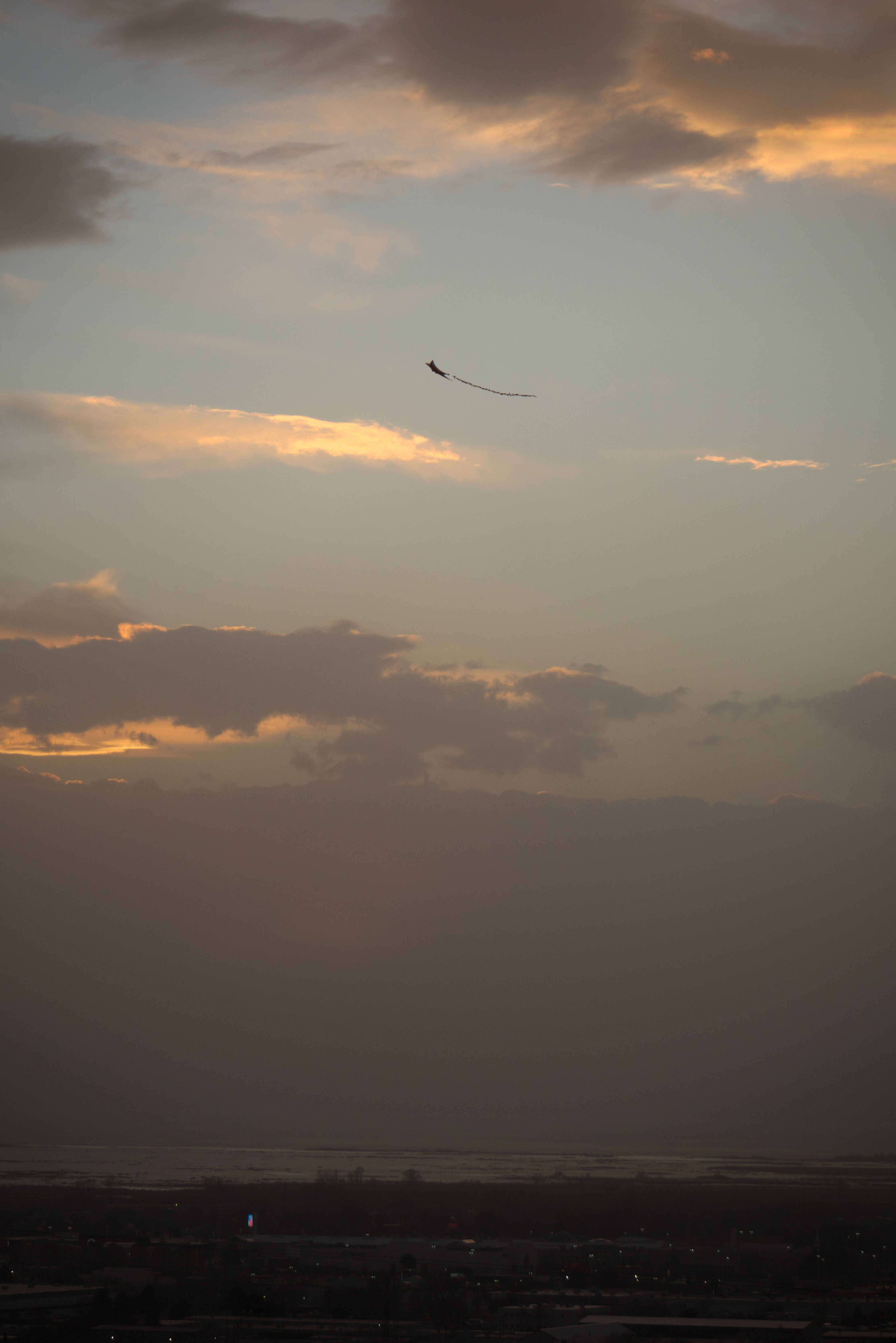 A kite silhouetted high above town, hazy low grey clouds