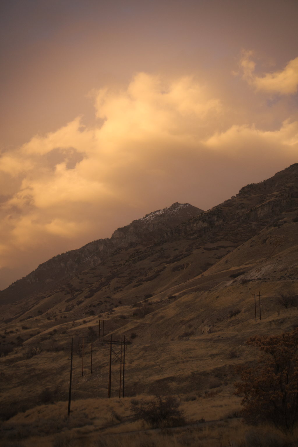 The brown and dry mountainside in warm, dusty light