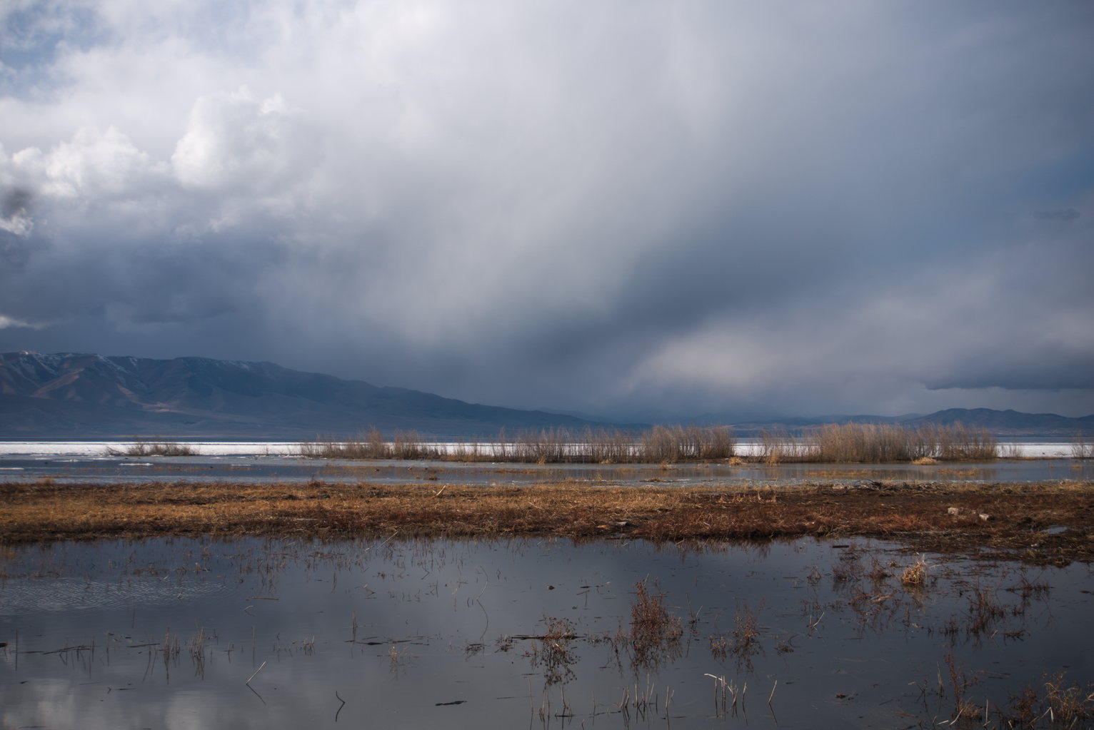 Magnificent light and dark clouds over teh lake and wetlands