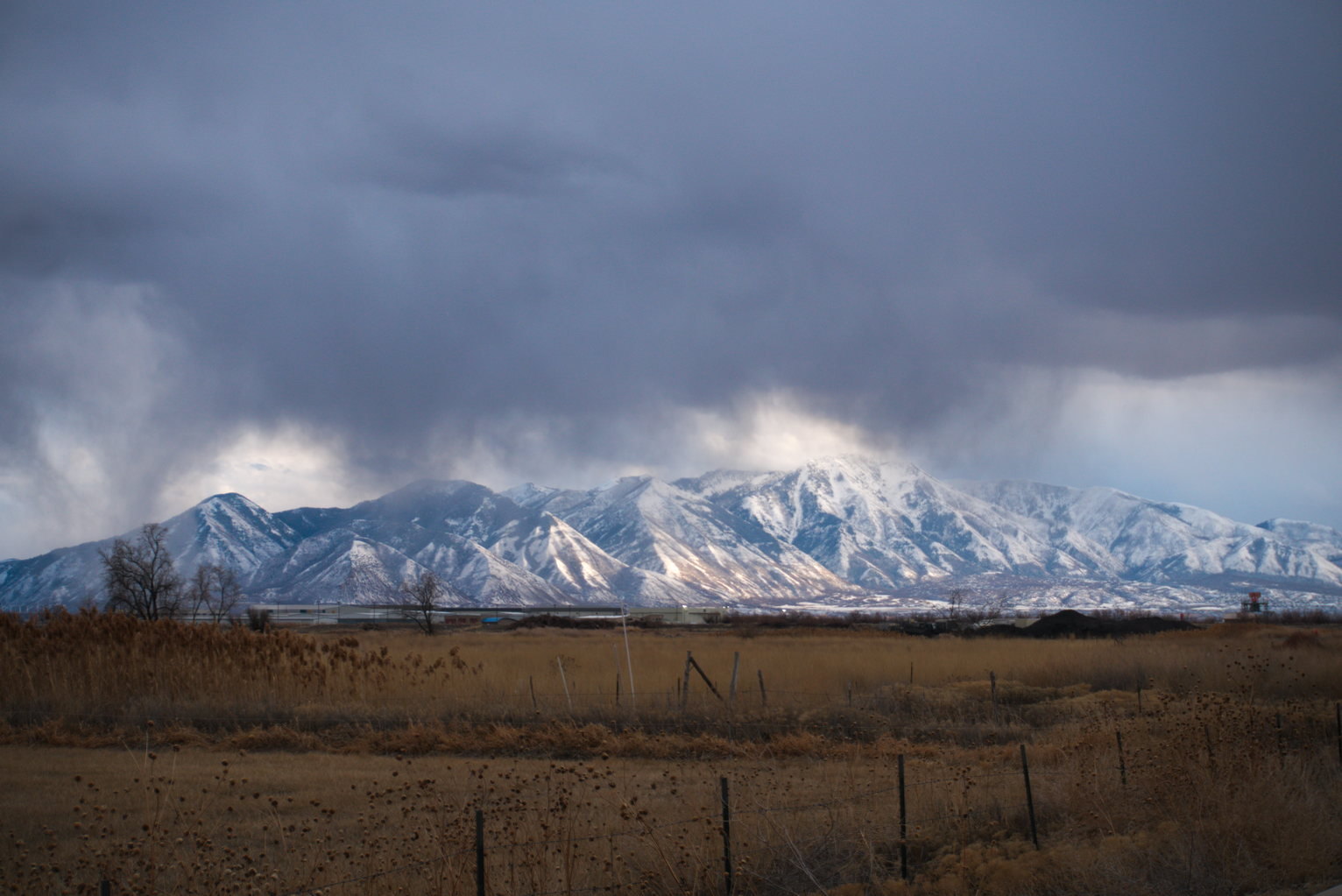 Beyond the dry grasses, sunflower heads, fences, the blue and white snowy mountains and dark precipitous clouds above
