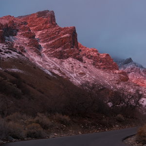 The snowy mountains are red with sunset, an asphalt road curves up into the distance bordered by brush and oaks