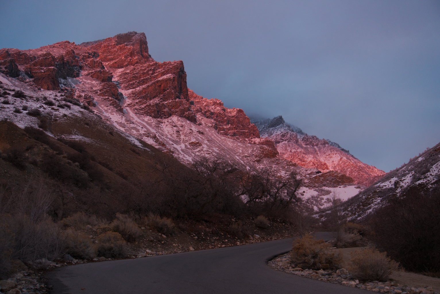 The snowy mountains are red with sunset, an asphalt road curves up into the distance bordered by brush and oaks