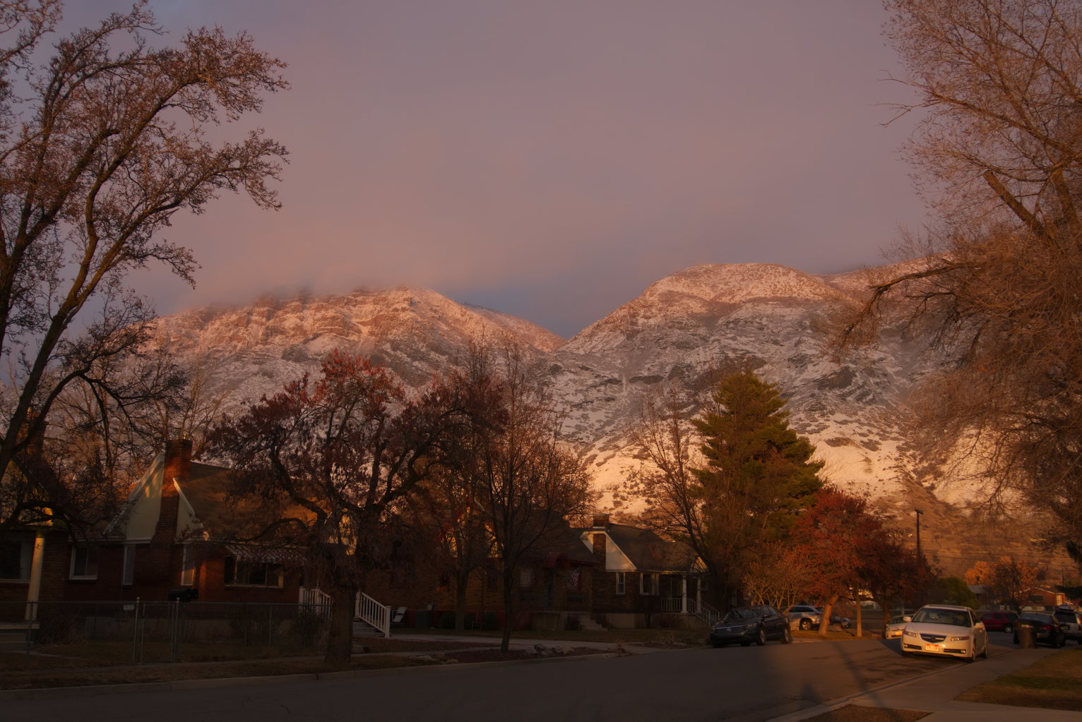 A road with long shadows on it, trees and houses, and behind them the snowy mountains catching the setting suns yellow glow