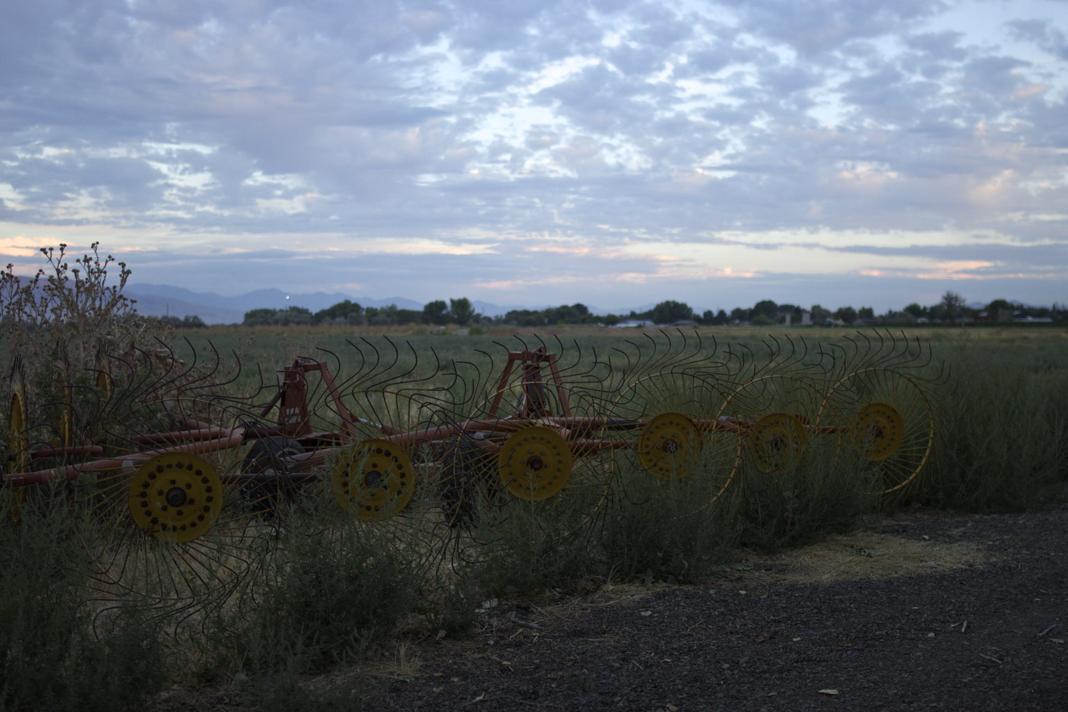 Farm equipment on the side of the road, a far off line of cottonwoods in the distance, cloudy skies.