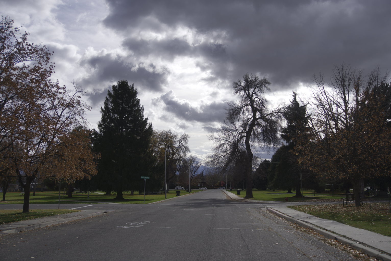 A tree-lined street going through a park, dramatic grey clouds