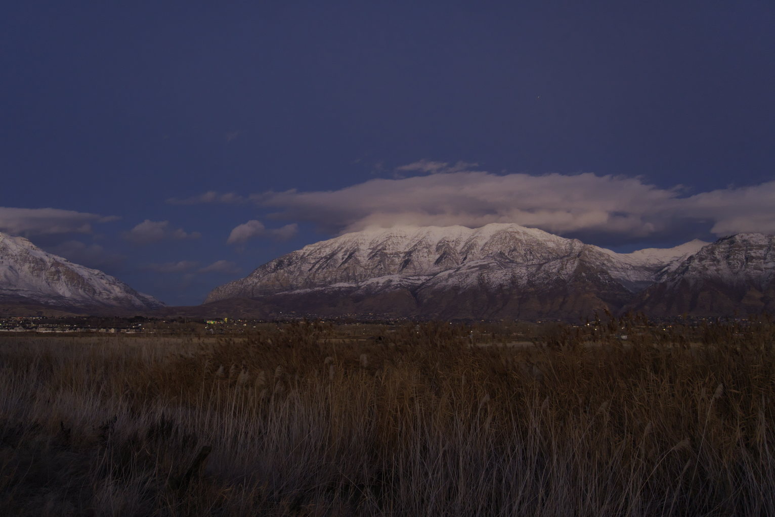 Snow-covered mountains at twilight beneath a pink-tinted cloud and deep blue sky, with dry winter grasses in the foreground