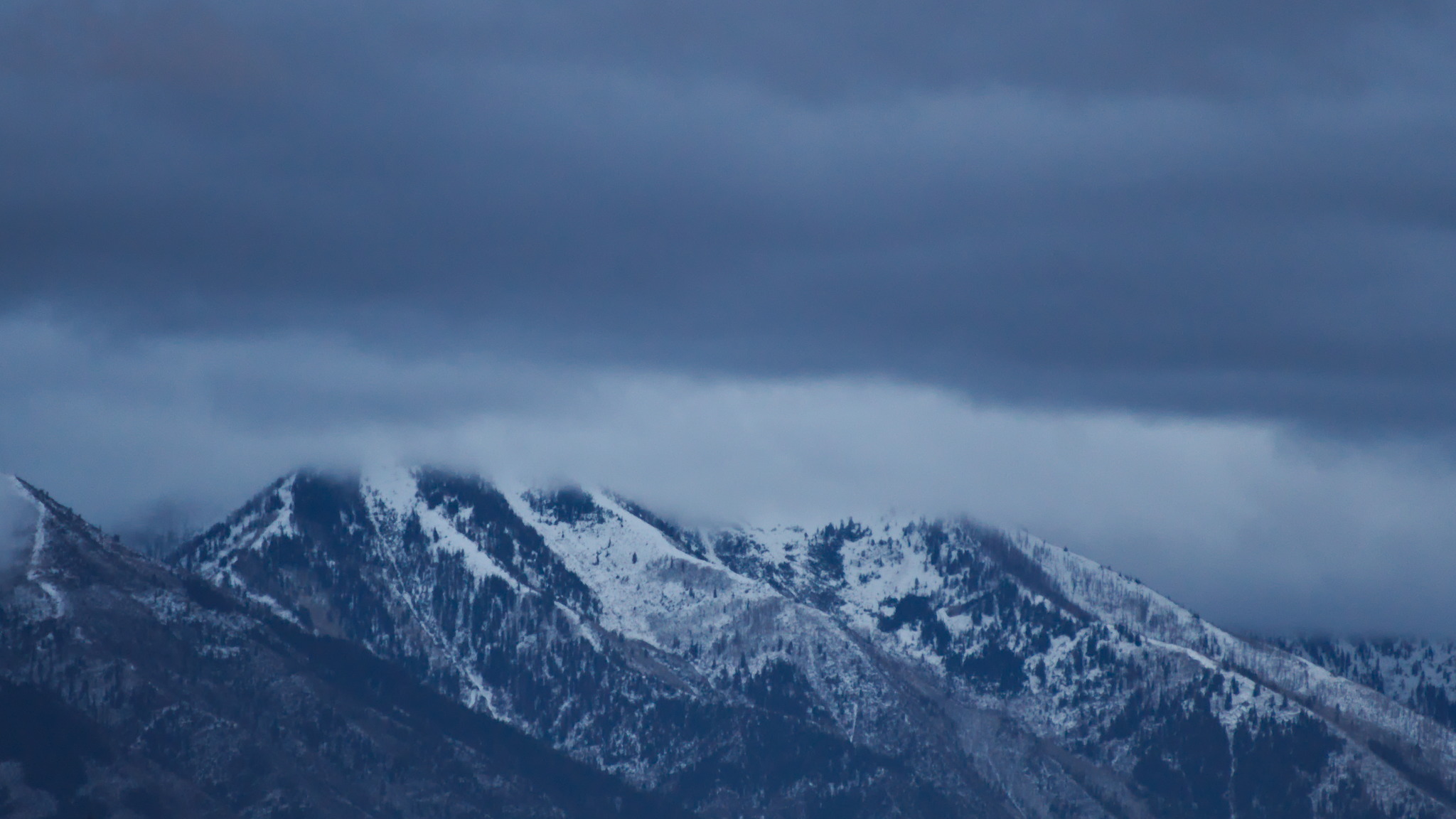 Snow-covered mountain peaks shrouded in mist and low clouds, with forested slopes visible beneath in muted blue tones