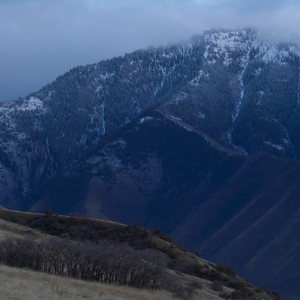 A snow-dusted mountain rises into low clouds at dusk with forested slopes and a grassy hillside in the foreground