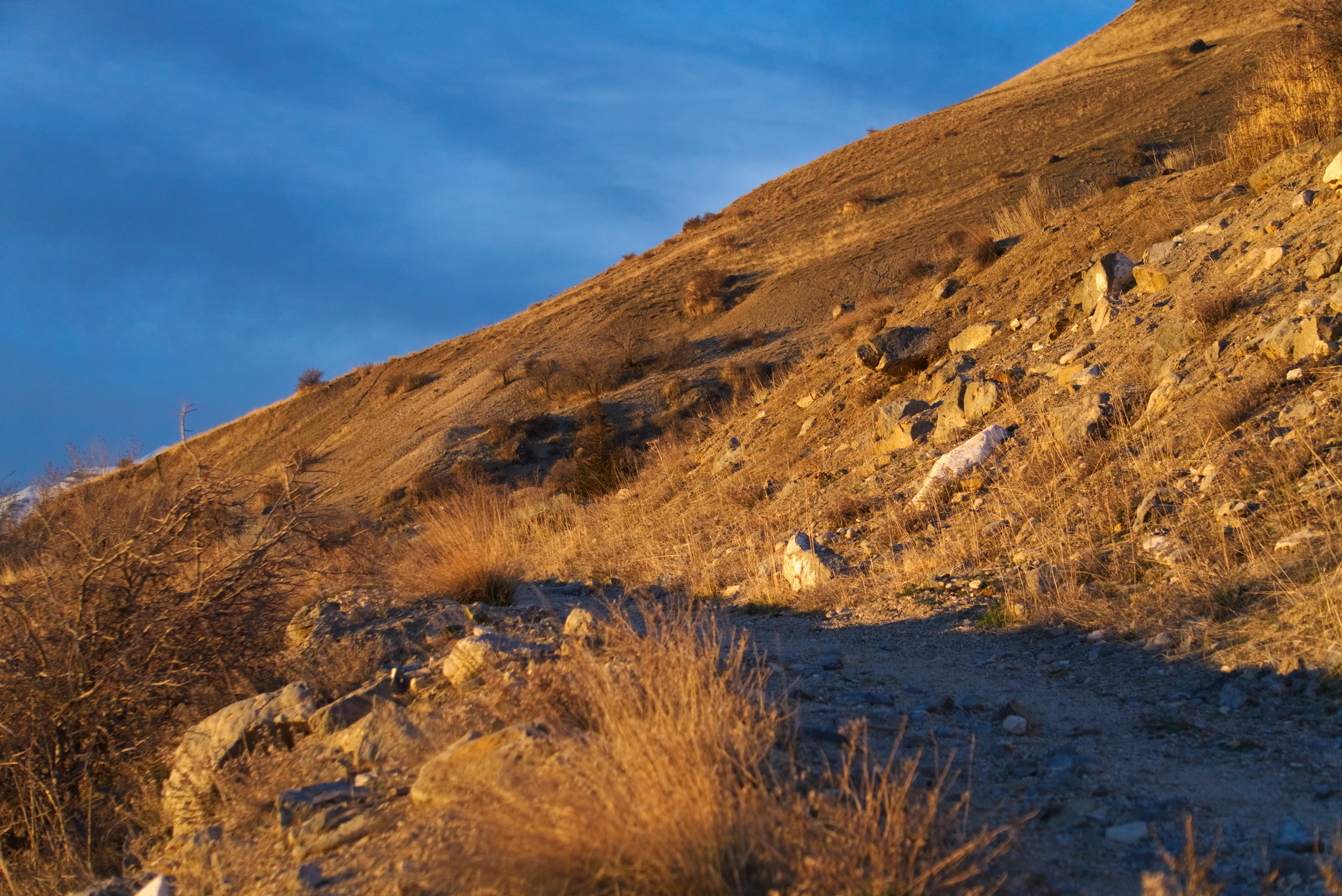 A path soon obscured on a mountainside blue in shadow with the rest of the mountainside bathed in strong yellow light, and then the sky blue above