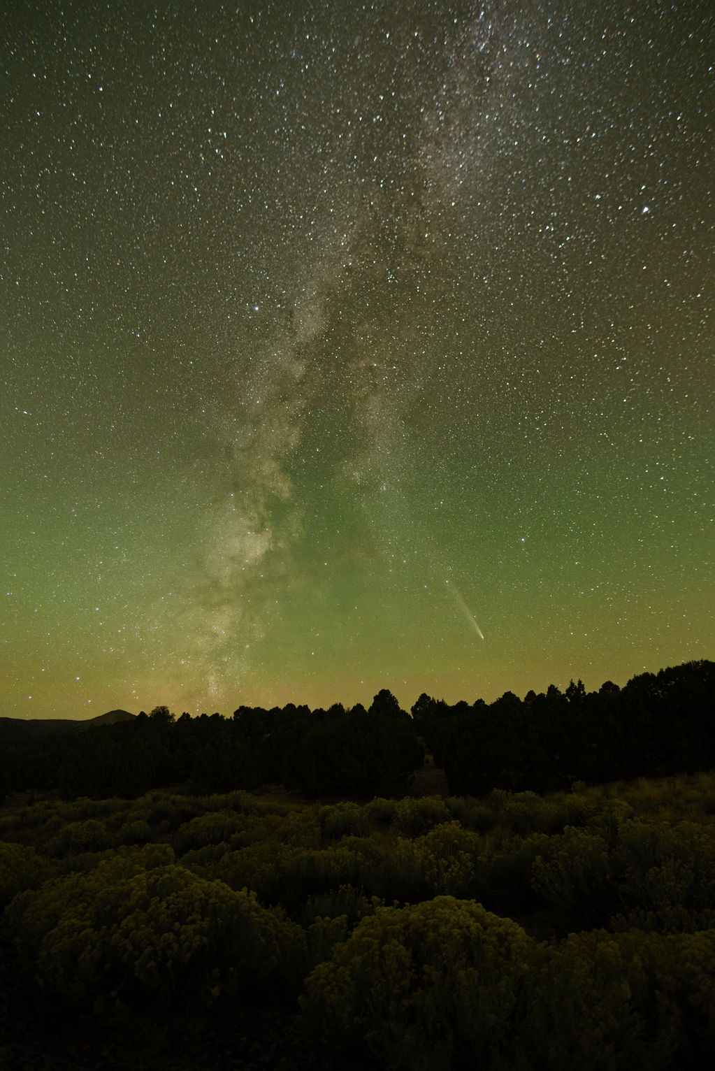 C/2023 A3 with Milky Way in chartreuse sky over rubber rabbitbrush