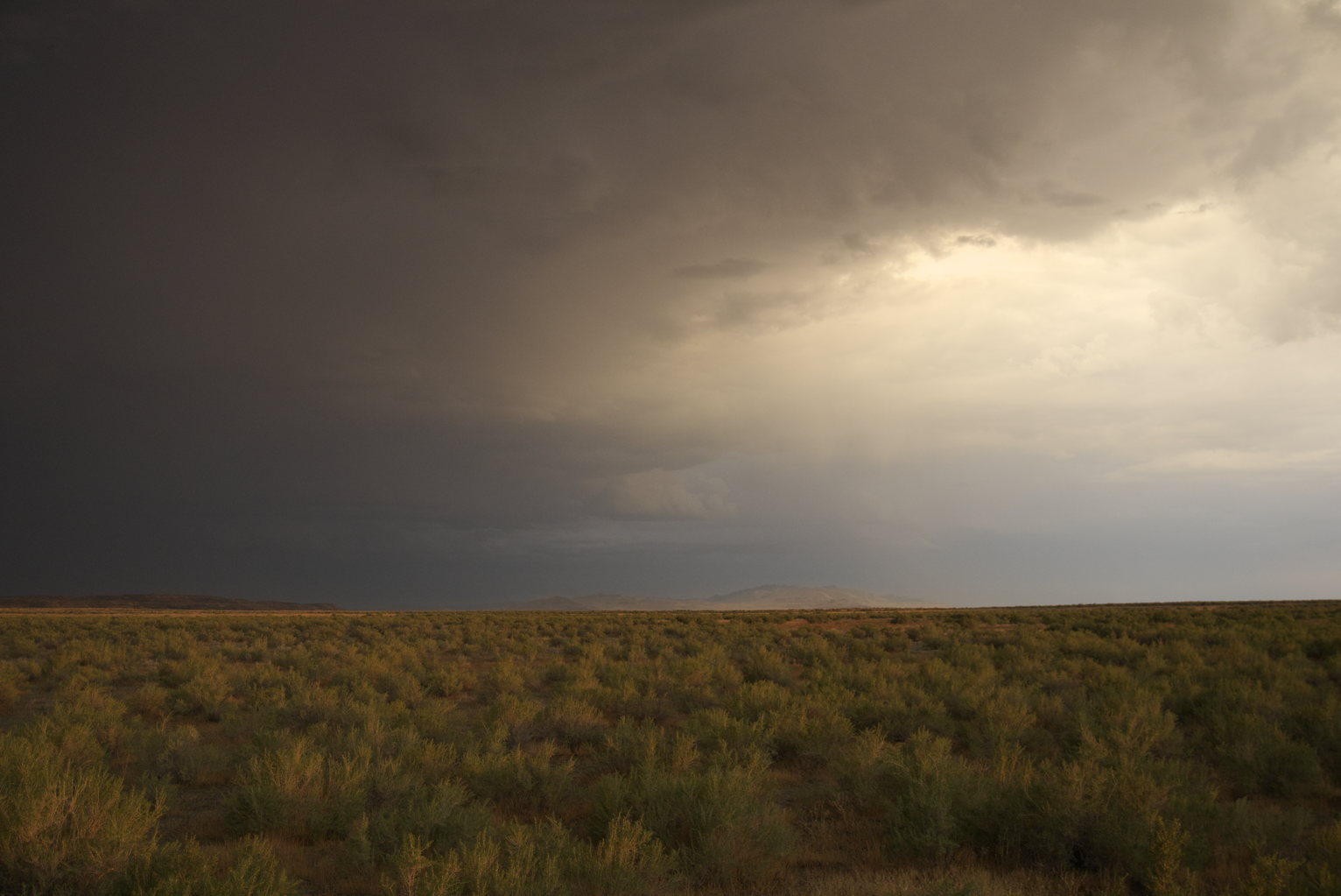 Warm golden and pink light glows through storm clouds above prairie grassland with distant mountains barely visible on the horizon.