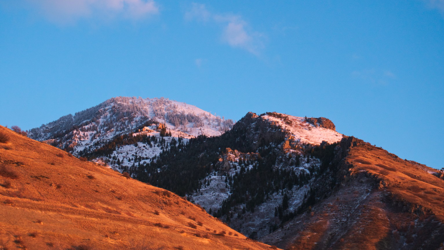 A near mountainside is lit yellow, the further north facing slope has firs and snows and also catches golden light