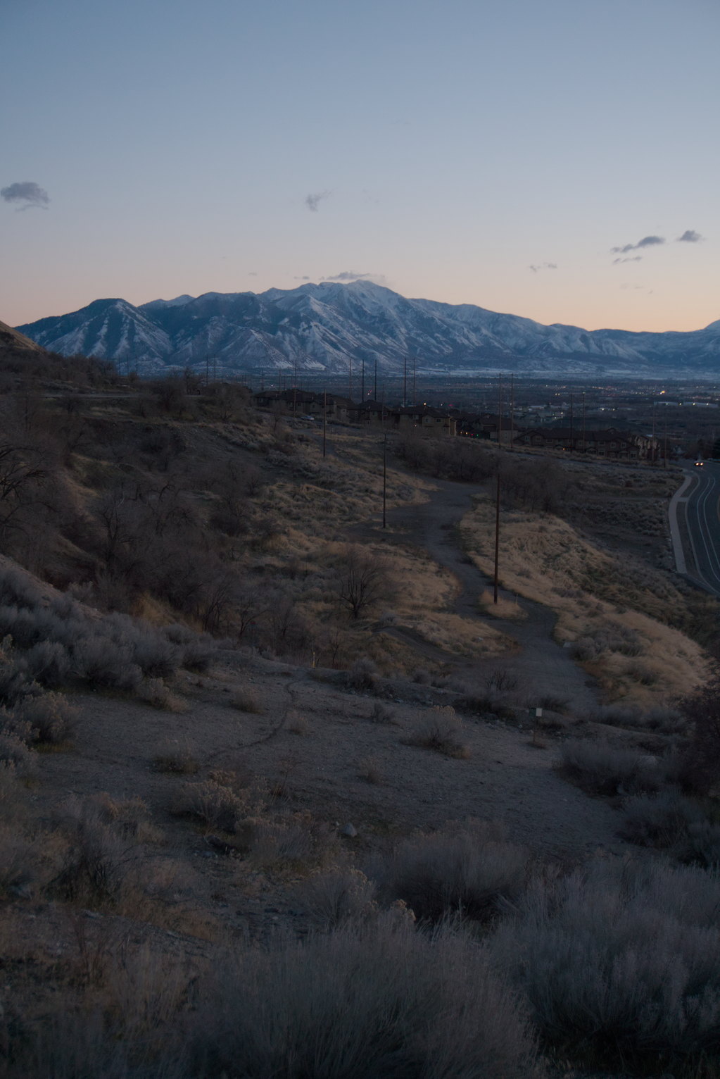 Sage and dirt and bare oaks, golden grasses, out further south the mountains blue and white in dusk