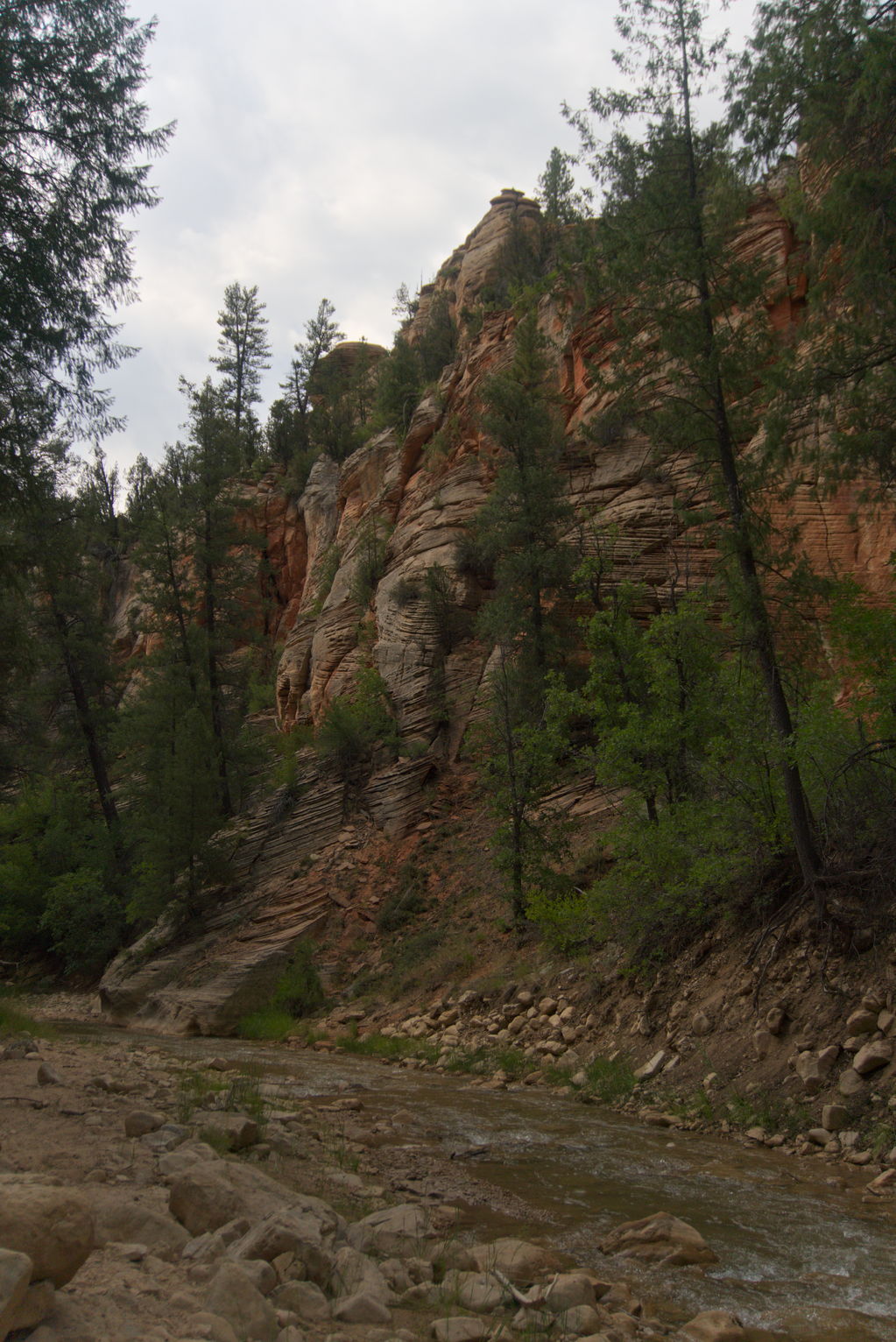 Ropey red rock with various trees growing out of it, river below