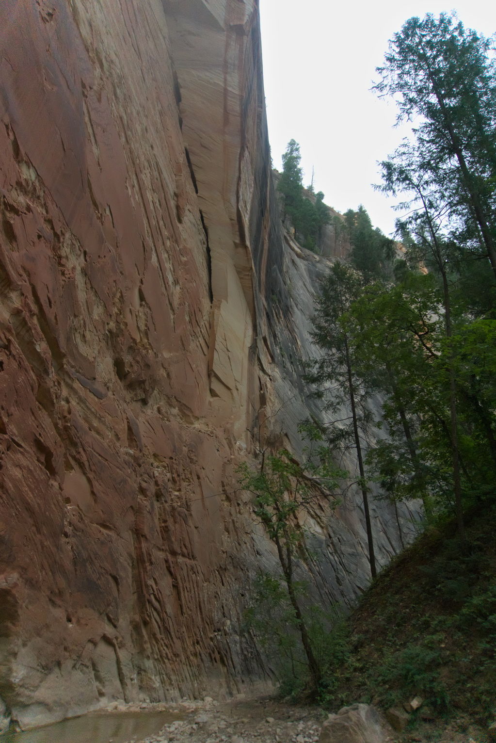 Craggy walls up high on the left, trees on the right