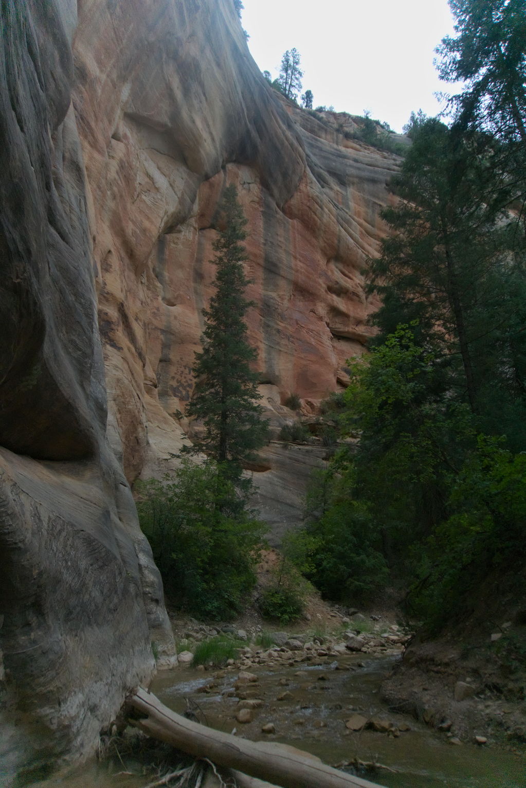 High rock walls on the right, kind of bubbly looking, red with grey streaks coming downward, green conifers next to the river