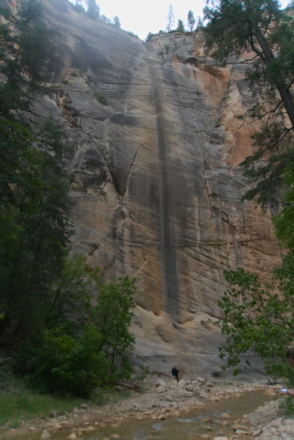 A backpacker tiny in frame looks up and a great grey downward streak in the wall, trees on either side