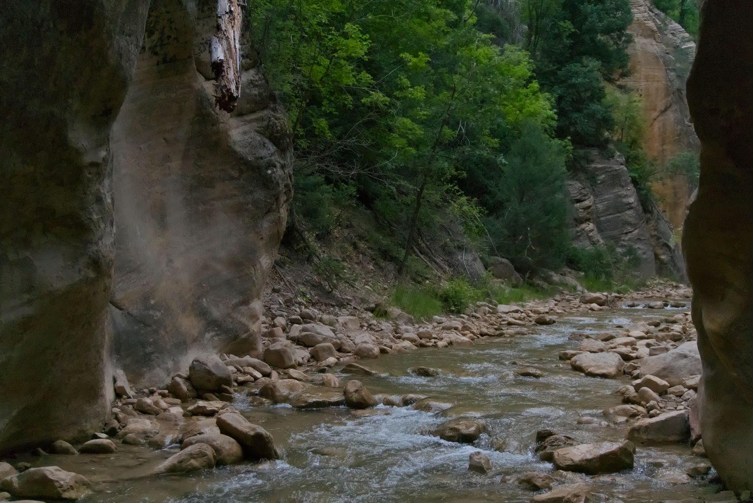 The river runs out of a slot, ahead trees