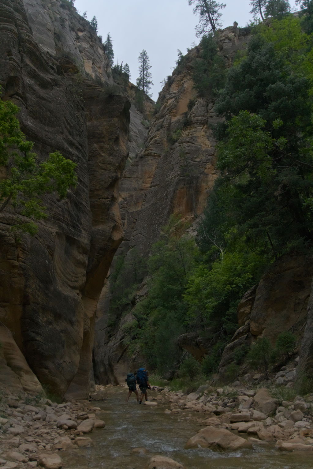 Two backpackers walk in the river, warm colored rocks on either side, walls towering up on either side with trees growing out