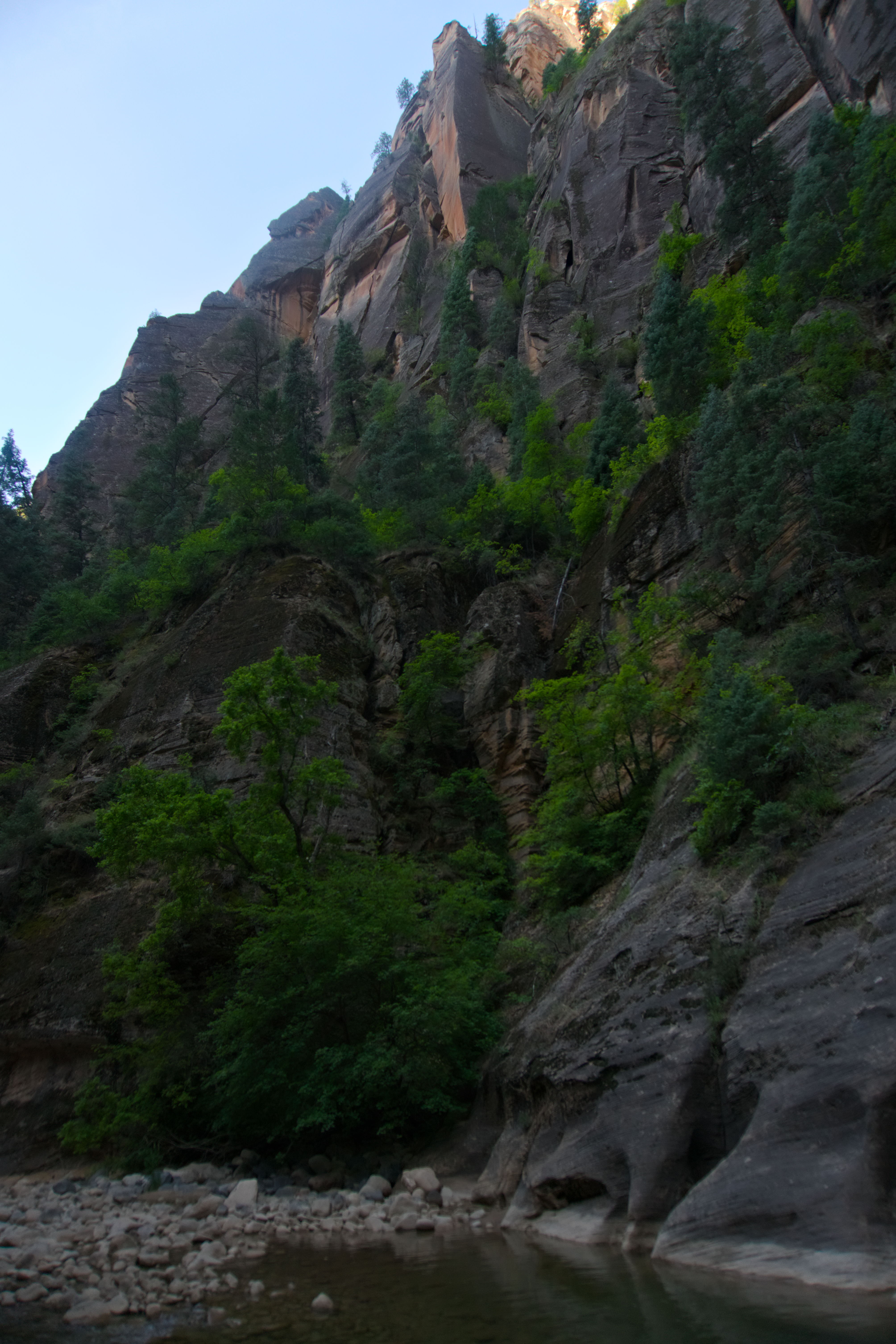 Above the river a rock wall with many trees growing out of it