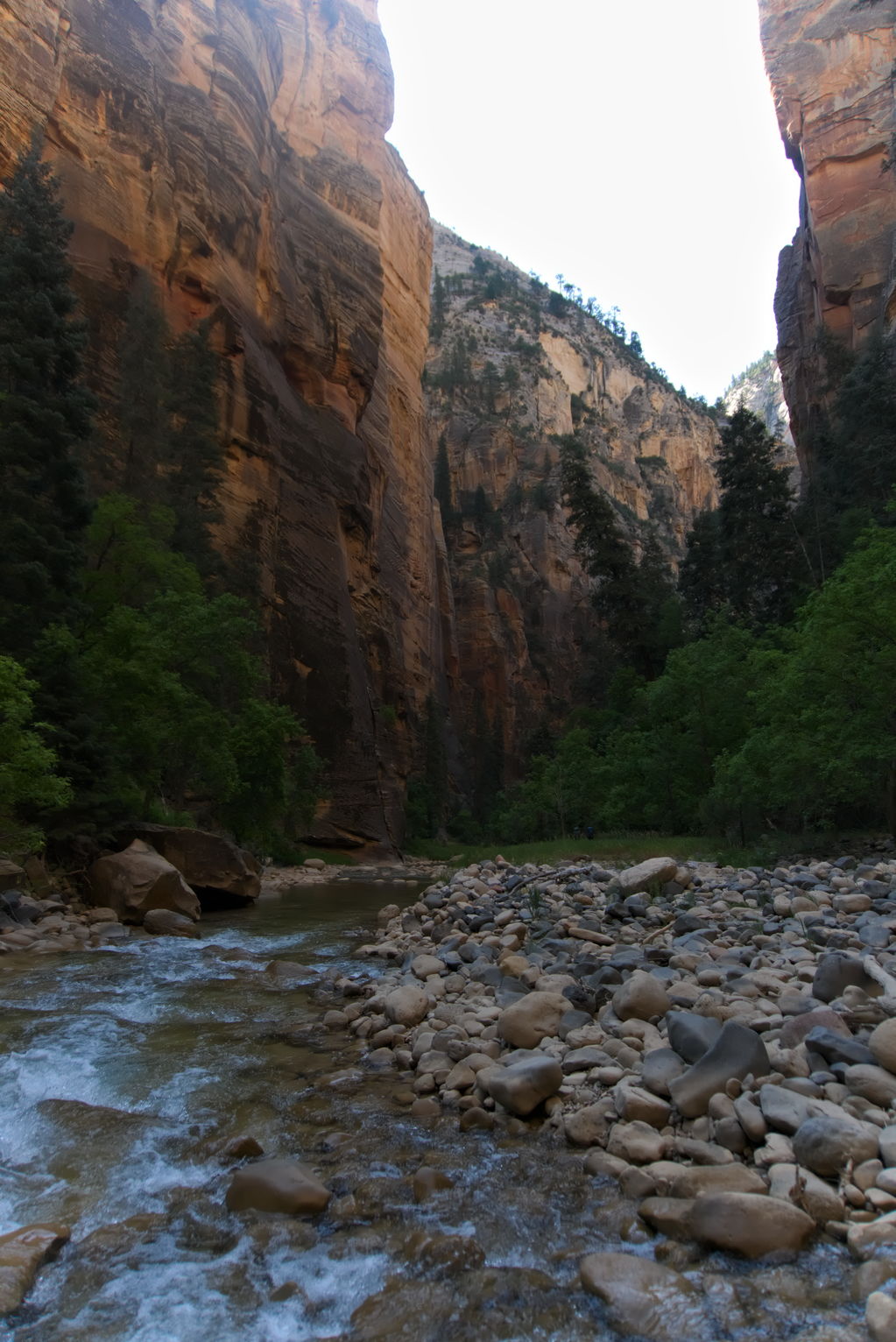 Above the river and blue and orange river rocks, some trees, and then the high walls of the canyon, orange