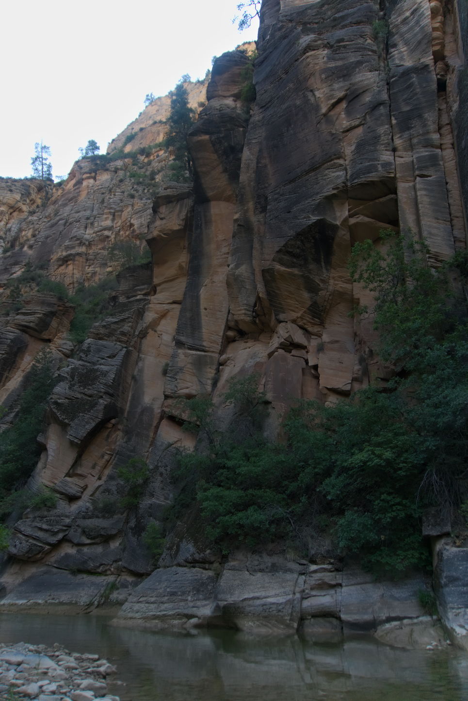 Above the river great slabs of vertical rock, trees grow out of it somehow