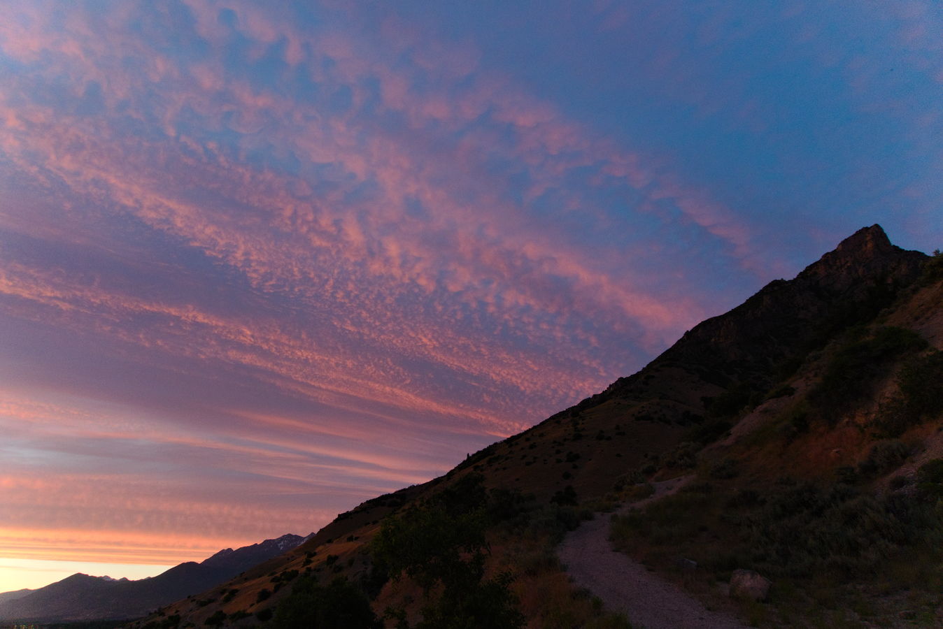 Sunset lit clouds